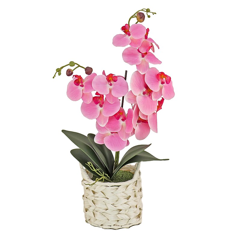 National Tree Company 21" Pink Orchid Flower in White Basket (MT81-PH0254PPK) image 1