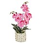 National Tree Company 21" Pink Orchid Flower in White Basket (MT81-PH0254PPK)~#|#~AE5AAC32-B792-4470-B0D0EC030ACA4DA5_sc7