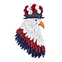 National Tree Company 14" American Eagle Wall Decor (EG79-19B0301-1)~#|#~AE78E5E6-BDE7-4EE0-ADD4745271B0F3DA_sc7