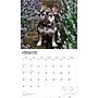 2026 BrownTrout For the Love of French Bulldogs 14" x 12" Monthly Wall Calendar (9798330707201)~#|#~AE8ABE0F-F430-4778-8772FA07B1E74335_sc7