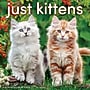 2027 Willow Creek Kittens 12" x 12" Monthly Wall Calendar, Assorted Colors (60933)~#|#~AE8BE27F-36AF-40BD-B9010F8FD05925C9_sc7