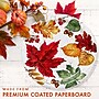 Say Hooray! Autumn Air Paper Plates and Napkins Kit, Multicolored, 48/Pack (DTC9387E2G)~#|#~AE8D66EB-866E-4A55-A0859C5C8BD1609E_sc7