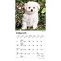 2027 BrownTrout Bichon Frise Puppies 7" x 7" Monthly Wall Calendar, Assorted Colors (9798330709892)~#|#~AE9A1464-53CA-4D45-B52113339C5418F9_sc7