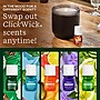 Lifelines Clickwick Sunkissed Escape Essential Oil Set (LL-11-3008)~#|#~AEA0D3A6-5A54-49C9-925229C44E9D4838_sc7