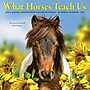 2027 Willow Creek What Horses Teach Us 7" x 7" Monthly Wall Calendar, Assorted Colors (64290)~#|#~AEB126D4-811F-4512-865550D6640DB0D7_sc7