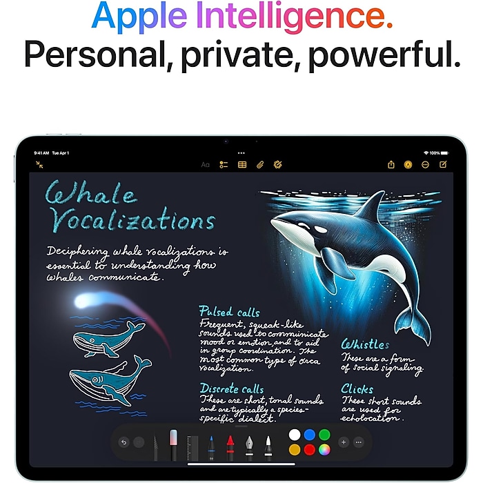 Apple iPad Air M3 Chip 13