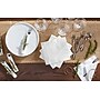 Vanity Fair Entertain Beverage Beverage Napkin, 2-ply, White, 40 Napkins/Pack, 12/Carton (35134)~#|#~AEC31DAB-779E-4B63-80CBCF84F51D73EB_sc7