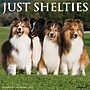 2027 Willow Creek Shelties 12" x 12" Monthly Wall Calendar, Assorted Colors (62302)~#|#~AEDBD23B-525E-4E6B-BC3ED12E818865BA_sc7