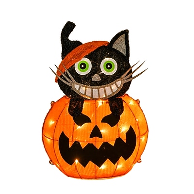 National Tree Company 23" Pre-Lit Pumpkin and Black Cat