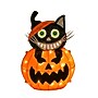 National Tree Company 23" Pre-Lit Pumpkin and Black Cat (MZ17-HS21B23-1)~#|#~AEE3C6E6-E50A-403B-84DAAD91B36B461E_sc7
