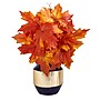Nearly Natural 18" Autumn Maple Leaf Artificial Plant in Blue and Gold Planter (P1540-OG)~#|#~AF00D11E-E75F-4876-AED78F73163ABE63_sc7