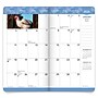 2026-2027 BrownTrout Chickens 3.5" x 6.5" Monthly Planner (9798330702886)~#|#~AF1A9C52-EF0B-4A5E-8BEBD3ED35AAD8D3_sc7