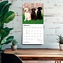 2027 BrownTrout Labrador Retrievers 12" x 12" Monthly Wall Calendar (9798330712540)~#|#~AF1D7893-19A5-4933-AF4B79A365DCA82C_sc7