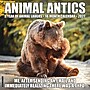 2027 Willow Creek Animal Antics 12" x 12" Monthly Wall Calendar, Assorted Colors (58787)~#|#~AF1D991E-3F42-4C7B-9F7D3FDEE5577589_sc7