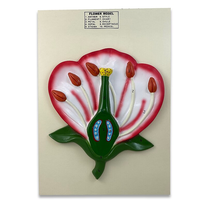Supertek 3-D Flower Model (SKFB12812) image 1
