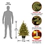 National Tree Company Hampton Spruce Artificial Christmas Tree (PEHA3-306-30)~#|#~AF2BB132-0C35-41FD-BB2B4A186FB73D05_sc7