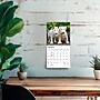 2027 BrownTrout For the Love of Puppies 7" x 7" Monthly Wall Calendar (9798330709748)~#|#~AF4A229E-45EF-437F-9CAD5281A988D0E0_sc7