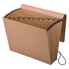 FELIP フェリップ　COMPLEX 12インチ　クリアレコード Pendaflex Reinforced Accordion File, Monthly Index, 12 Pocket