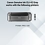 Canon 42 Gray Standard Yield Ink Cartridge (6390B002)~#|#~AF8441A2-762A-48EF-AC9DB1FA897A864D_sc7