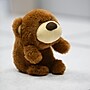 Bouncy Bands Bear Posture Pal, Light Brown (BBAPTBEAR)~#|#~AF871BF3-44D6-4DCA-843F7C3FB38D6FDD_sc7