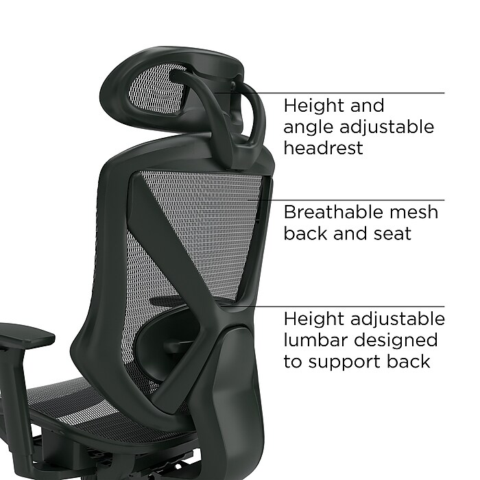 Staples® Dexley Ergonomic Mesh Swivel Task Chair, Black