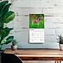 2027 BrownTrout Baby Animals 7" x 7" Monthly Wall Calendar, Assorted Colors (9798330709755)~#|#~AFB4BD6B-9171-4C19-8F0CAA9E428372B3_sc7