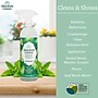 Absolute Green Eco-Friendly  All-Purpose Cleaner, Peppermint Scent, 25 Fl Oz.,  6/Carton (AG14-ST-6)~#|#~AFCAA6F9-D962-4F9E-8248D563C919460F_sc7
