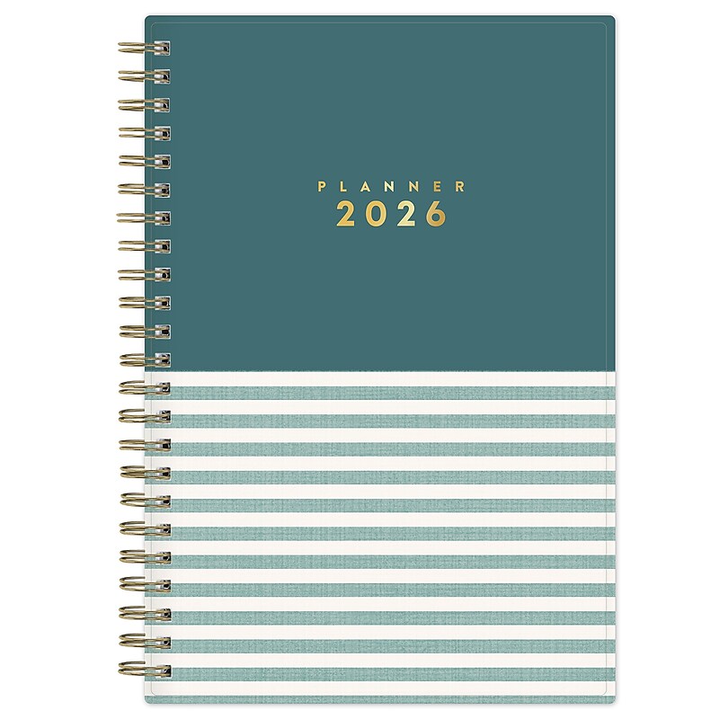 2026 Blue Sky Stripe Block 8" x 5" Weekly & Monthly Personal Organizer, Plastic Cover (154715) image 1