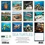 2027 Willow Creek Sea Turtles 12" x 12" Monthly Wall Calendar, Assorted Colors (62210)~#|#~AFDB3695-4130-4978-BA1FF71A77B11B3C_sc7