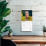2027 BrownTrout Owls 7" x 7" Monthly Wall Calendar (9798330709847)~#|#~AFF05AF0-43DA-4A8B-847F0D53A020F70A_sc7