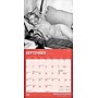 2026 BrownTrout Marilyn Monroe 7" x 7" Monthly Wall Calendar (9798330701377)~#|#~AFF50284-BB09-446A-851D90555F7B586B_sc7