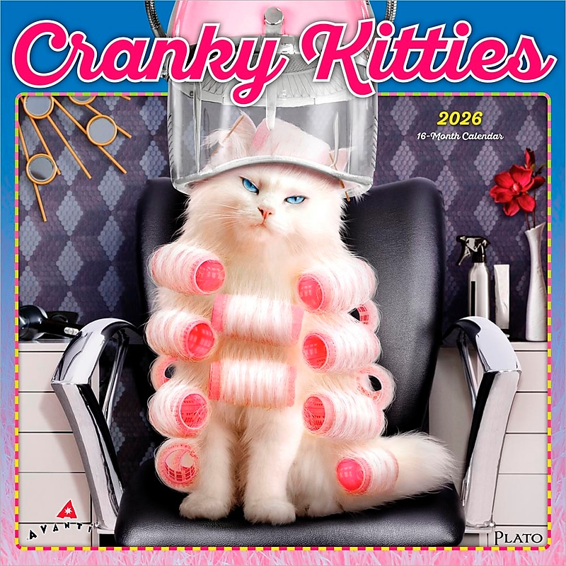 2026 Plato Avanti Cranky Kitties 12" x 12" Monthly Wall Calendar (9798330701421) image 1