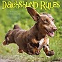 2027 Willow Creek Dachshund Rules  12" x 12" Monthly Wall Calendar (59951)~#|#~B01D7BC5-6C1D-4DE8-885E6059E35594D1_sc7