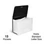 Staples Moisture Resistant Plastic Accordion File, 13-Pocket, Letter Size, Black (TR51806)~#|#~B01F657E-8D48-47F1-878DD53670860746_sc7