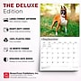 2027 BrownTrout For the Love of Boxers 14" x 12" Monthly Wall Calendar, Assorted Colors (9798330709236)~#|#~B03E263A-85FD-467D-B46D204105E38000_sc7