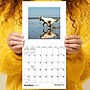 2027 TF Publishing Best Day Ever: Dogs 7" x 7" Monthly Wall Calendar, Multicolored (27-2008)~#|#~B0578F7D-D12A-47B7-8B4B41BA1FBEFA9D_sc7