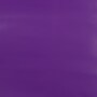 JAM Paper Short Mini Roll Wrapping Paper, 26.3 sq. ft., Purple, 2/Pack(165S25263pug)~#|#~B05A1364-1F57-400F-A0AD02796BE57557_sc7