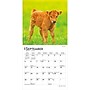 2027 BrownTrout Baby Moo Moos 7" x 7" Monthly Wall Calendar, Assorted Colors (9798330709779)~#|#~B06B31B2-986F-4F08-B2C0B1259849E1F5_sc7