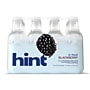 Hint Blackberry Flavored Water, 16 oz., 12/Carton (00034)~#|#~B06D683A-06B2-4D7A-BA07CAF7BD6A669A_sc7