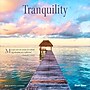 2026 Brush Dance Tranquility 12" x 12" Monthly Wall Calendar (9798330705962)~#|#~B06DFE1E-1709-4E75-936AAA64BD62580C_sc7