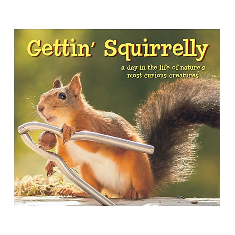 Gettin' Squirrelly, Hardcover image 1