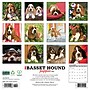 2026 Willow Creek Basset Hound Puppies 12" x 12" Monthly Wall Calendar (50088)~#|#~B08B1EAC-3C8B-4087-B58A3F0859425158_sc7