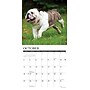 2026 Willow Creek Bulldogs 12" x 12" Monthly Wall Calendar (50439)~#|#~B0A701A6-4547-44E0-A239AF5A71E8C1B0_sc7