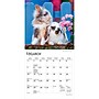 2027 BrownTrout Honey Bunny 7" x 7" Monthly Wall Calendar (9798330709809)~#|#~B0AE34E2-5376-4A88-A12733A0997D5B40_sc7