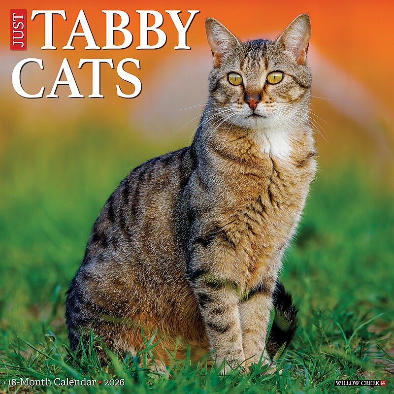2026 Willow Creek Tabby Cats 12" x 12" Monthly Wall Calendar (52938) image 1