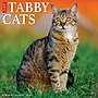 2026 Willow Creek Tabby Cats 12" x 12" Monthly Wall Calendar (52938)~#|#~B0CD65A5-CB2D-453F-A316DDD7BBCE4B82_sc7