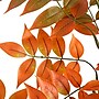 Nearly Natural 4' Autumn Sumac Artificial Fall Tree (T4739)~#|#~B1207A78-1C56-4ADC-872528A4C8127339_sc7