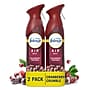 Febreze AIR Aerosol Air Freshener & Deodorizer, Cranberry Crumble Scent, 8.8 oz., 2/Pack (03207)~#|#~B14D674B-EAB1-4DE3-8A7F4E3BA647B5DB_sc7