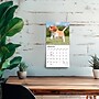 2027 BrownTrout Cavalier King Charles Spaniel Puppies 7" x 7" Monthly Wall Calendar, Assorted Colors (9798330709953)~#|#~B1761013-4C2C-4AFD-9F8438C98E0DC574_sc7