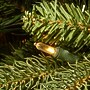 National Tree Company 6.5' Pre-Lit Jersey Fraser Fir Slim Artificial Christmas Tree, 700 Lights (PEJF1-304-65)~#|#~B1863A00-B62F-4835-940D71A28BF8A57E_sc7